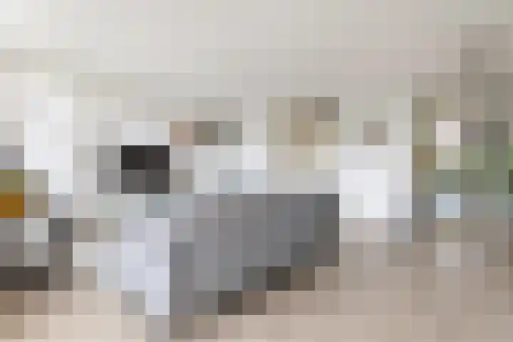 Boerhoorndreef 76 Assen thumbnail 14