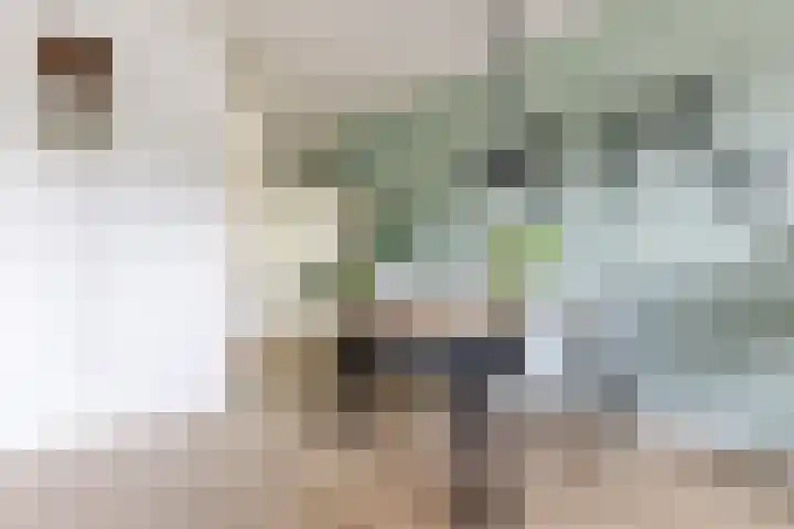 Boerhoorndreef 76 Assen thumbnail 16