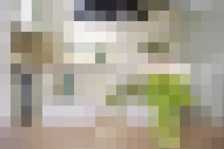 Boerhoorndreef 76 Assen thumbnail 17