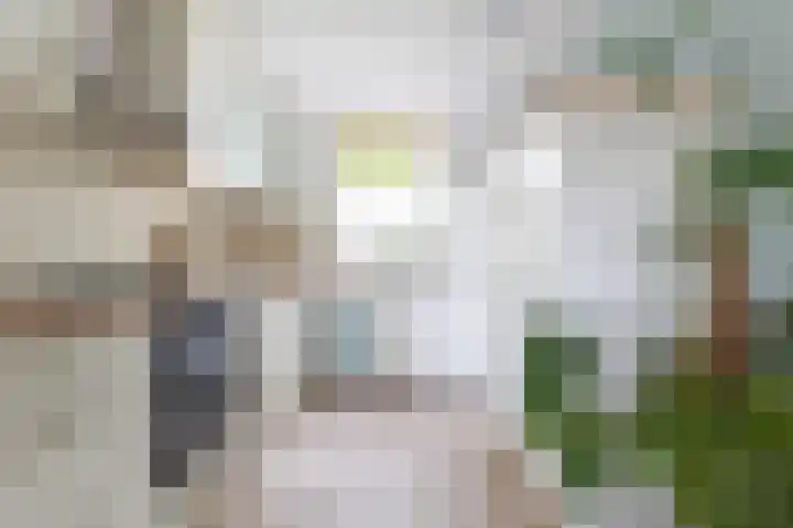 Boerhoorndreef 76 Assen thumbnail 18