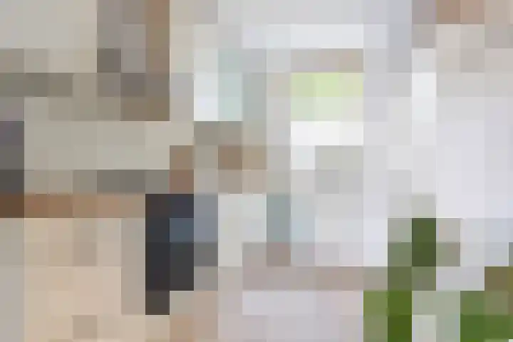 Boerhoorndreef 76 Assen thumbnail 19