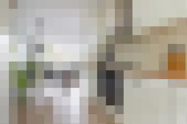 Boerhoorndreef 76 Assen thumbnail 20