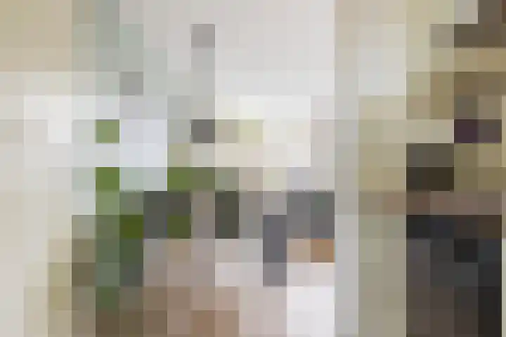 Boerhoorndreef 76 Assen thumbnail 21