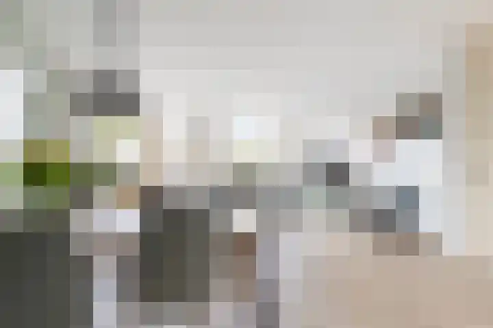 Boerhoorndreef 76 Assen thumbnail 22