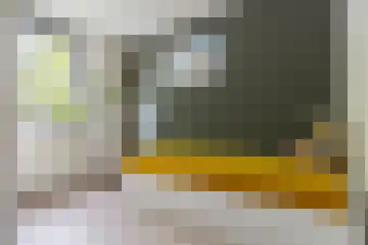 Boerhoorndreef 76 Assen thumbnail 28