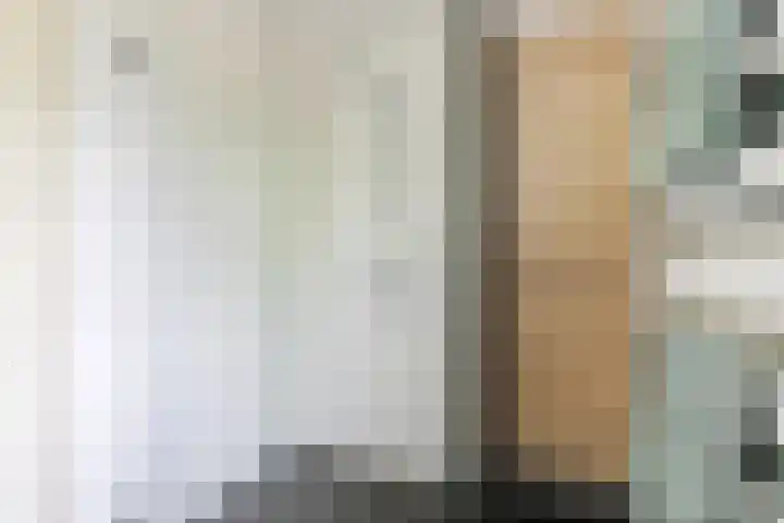 Boerhoorndreef 76 Assen thumbnail 30