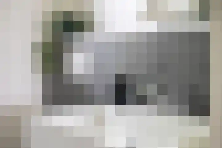 Boerhoorndreef 76 Assen thumbnail 31