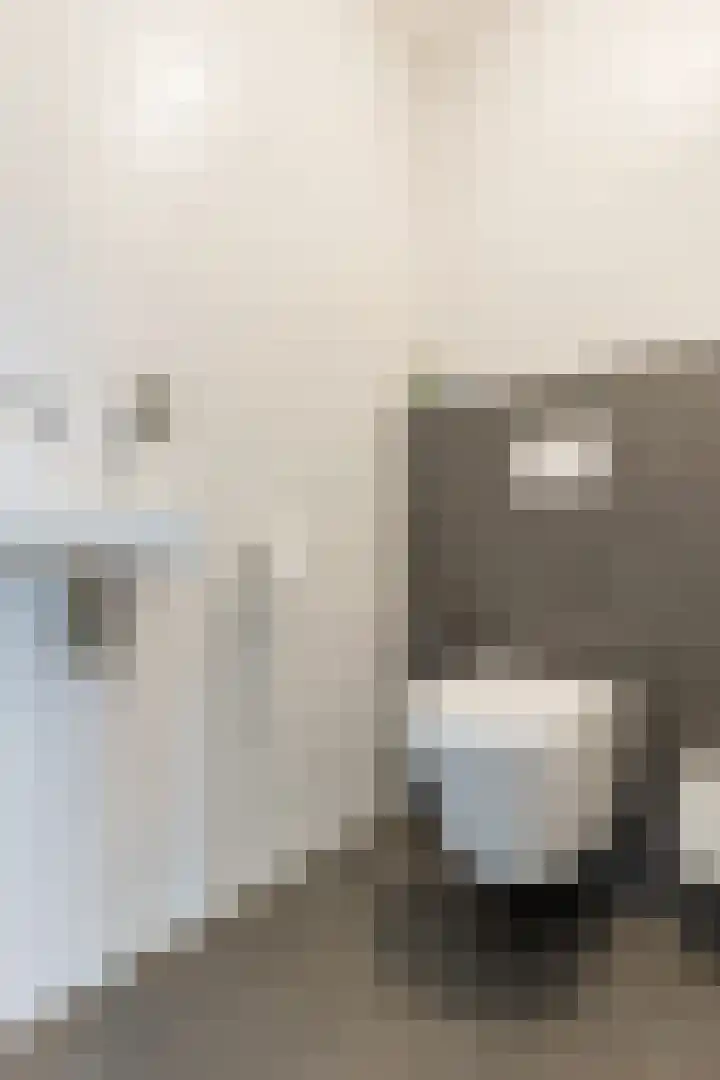 Boerhoorndreef 76 Assen thumbnail 32