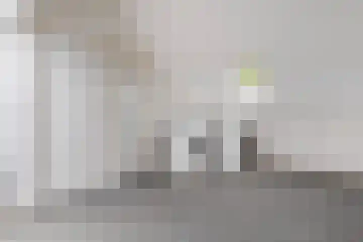 Boerhoorndreef 76 Assen thumbnail 34