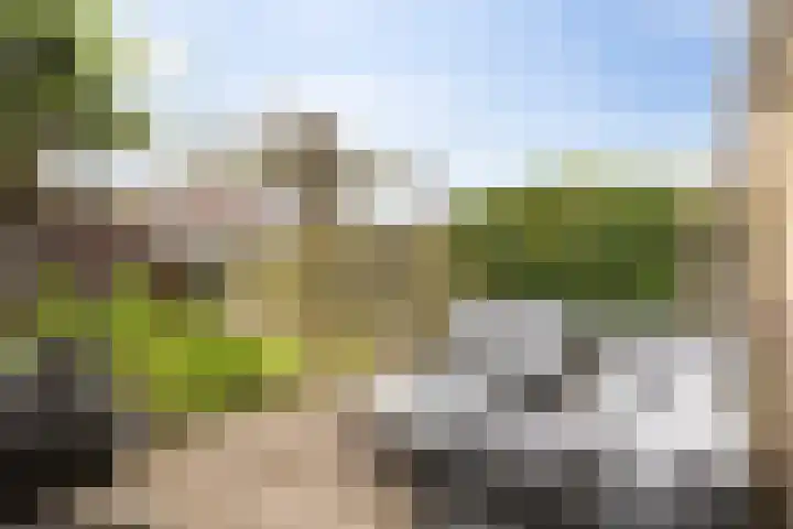 Boerhoorndreef 76 Assen thumbnail 35