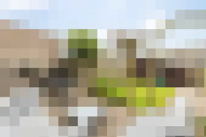 Boerhoorndreef 76 Assen thumbnail 36