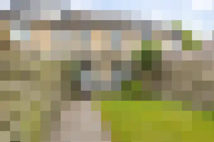 Boerhoorndreef 76 Assen thumbnail 37