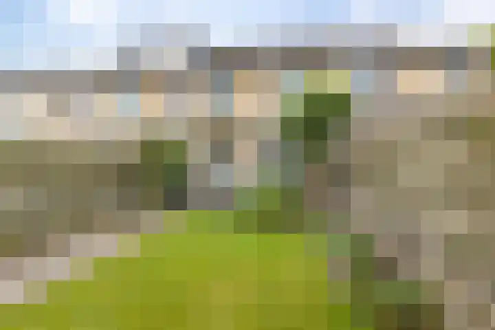 Boerhoorndreef 76 Assen thumbnail 39
