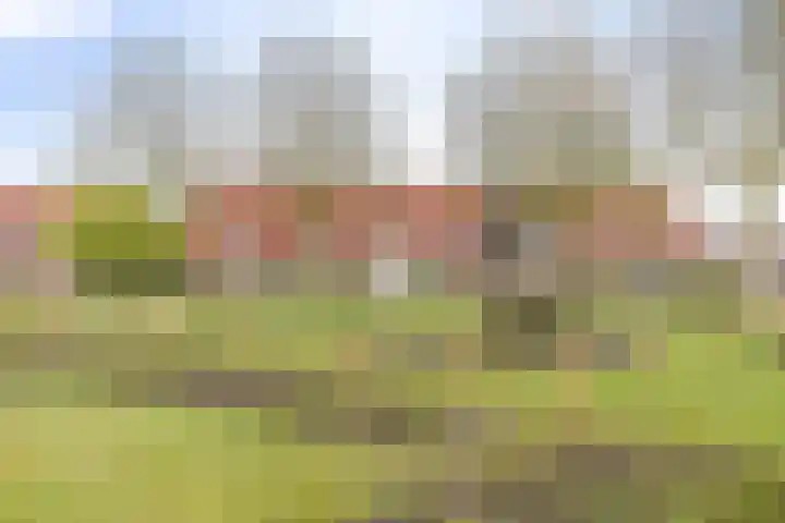 Boerhoorndreef 76 Assen thumbnail 43