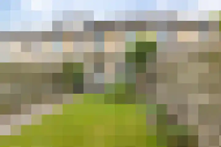 Boerhoorndreef 76 Assen thumbnail 5