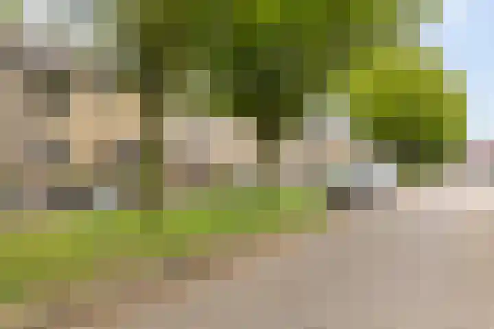 Boerhoorndreef 76 Assen thumbnail 8