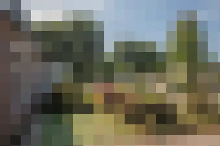 Boerhoorndreef 8 Assen thumbnail 11