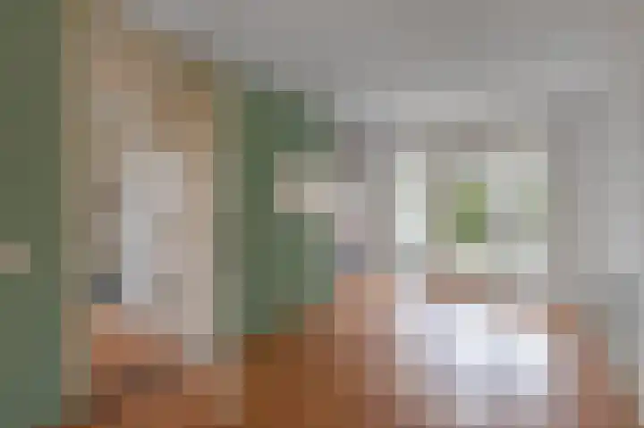 Boerhoorndreef 8 Assen thumbnail 19