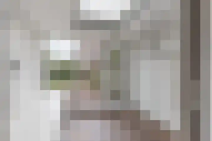 Boerhoorndreef 8 Assen thumbnail 23