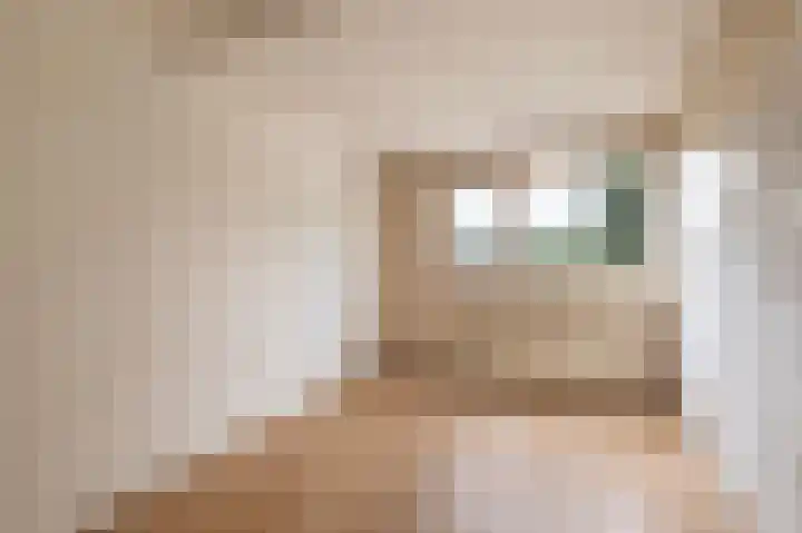 Boerhoorndreef 8 Assen thumbnail 28