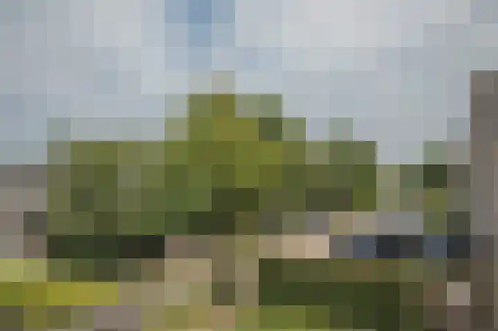Boerhoorndreef 8 Assen thumbnail 32