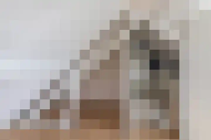 Boerhoorndreef 8 Assen thumbnail 37