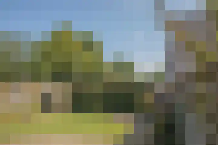 Boerhoorndreef 8 Assen thumbnail 39