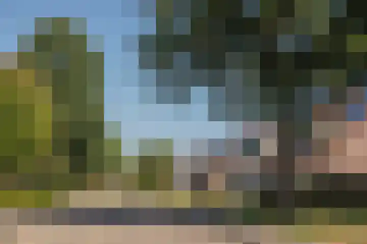 Boerhoorndreef 8 Assen thumbnail 8