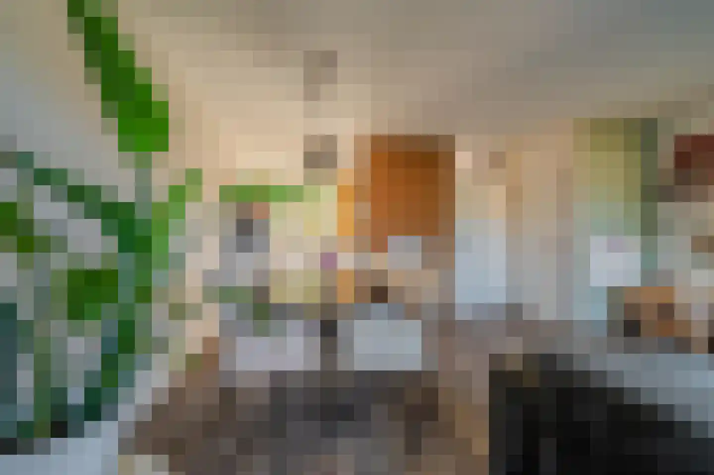 Boerhoorndreef 87 Assen thumbnail 13