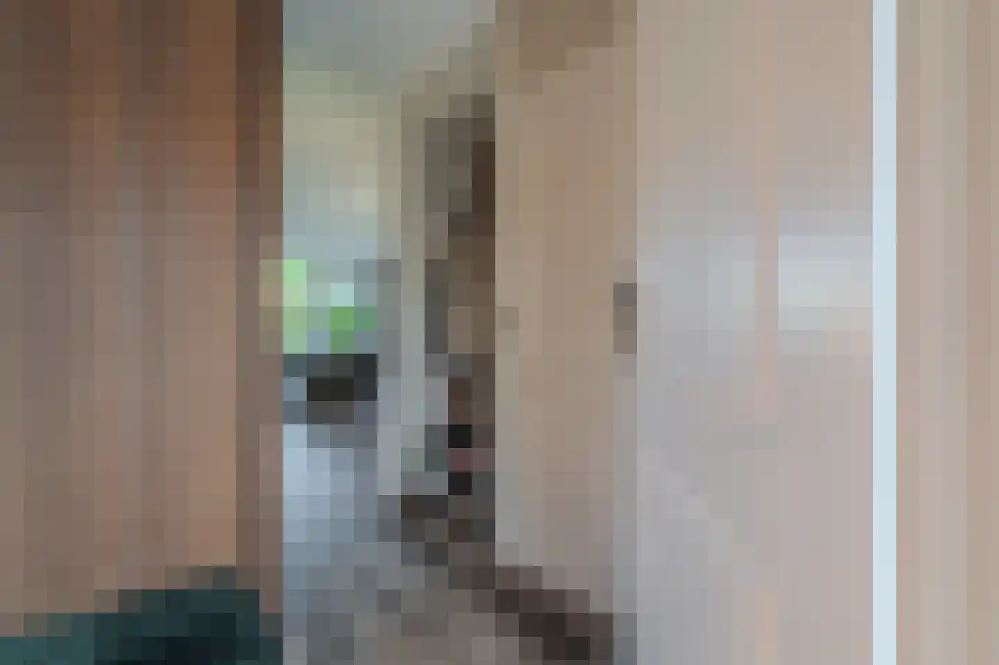 Boerhoorndreef 87 Assen thumbnail 15
