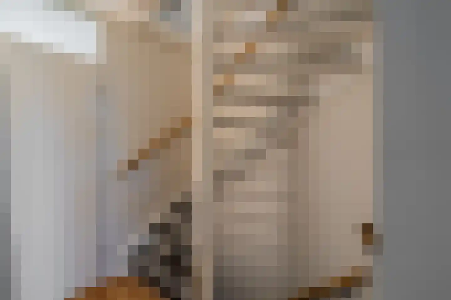 Boerhoorndreef 87 Assen thumbnail 27