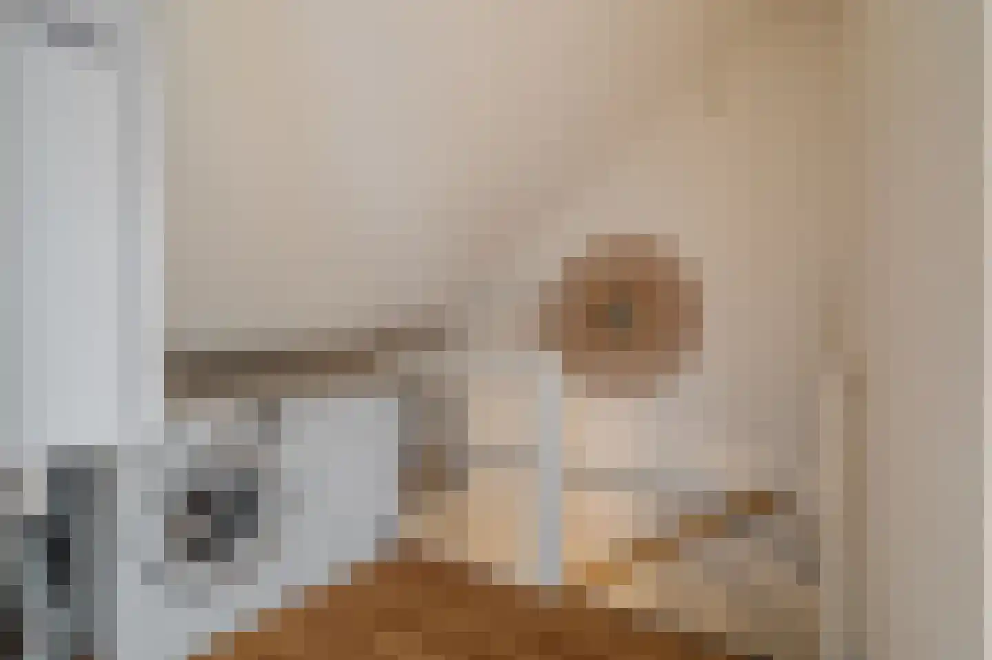 Boerhoorndreef 87 Assen thumbnail 31