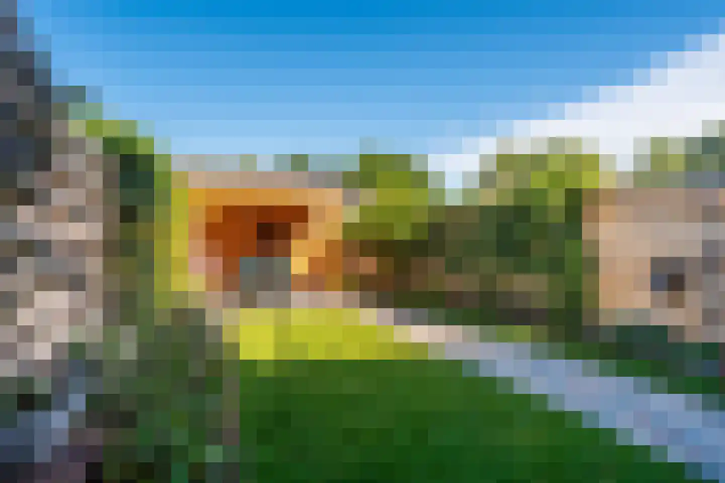 Boerhoorndreef 87 Assen thumbnail 32