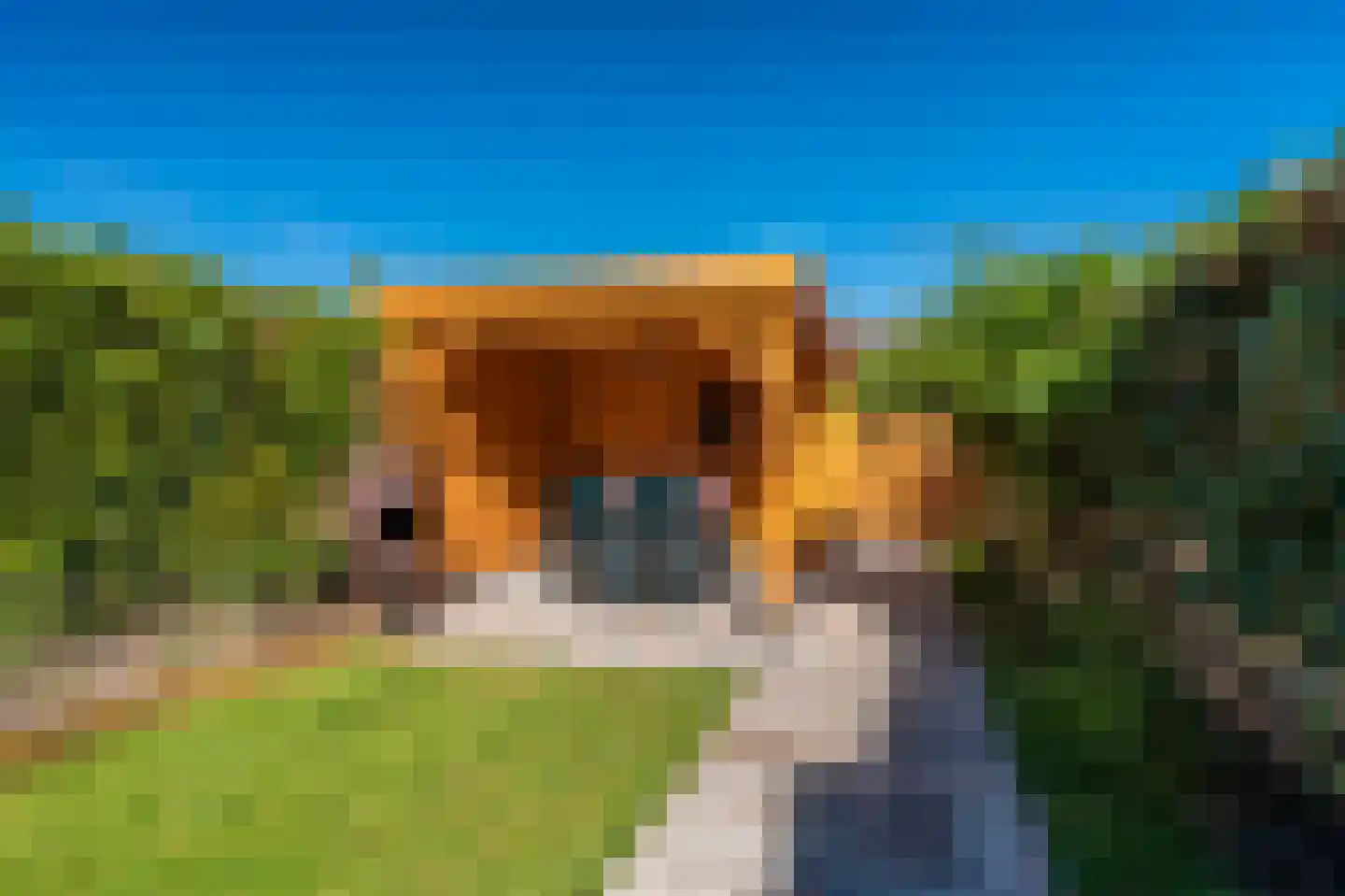 Boerhoorndreef 87 Assen thumbnail 33
