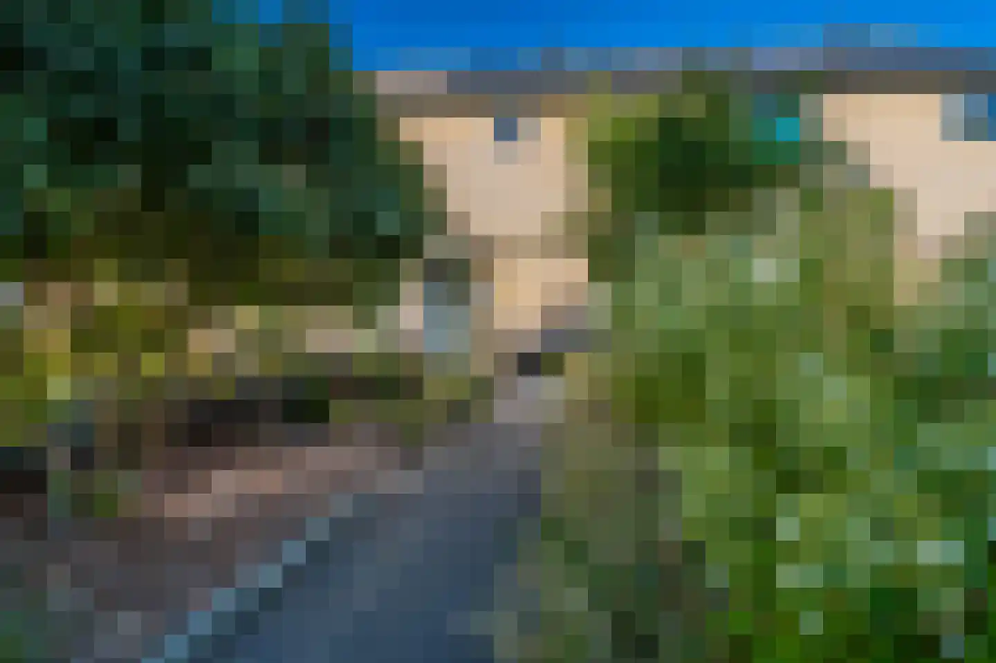 Boerhoorndreef 87 Assen thumbnail 40