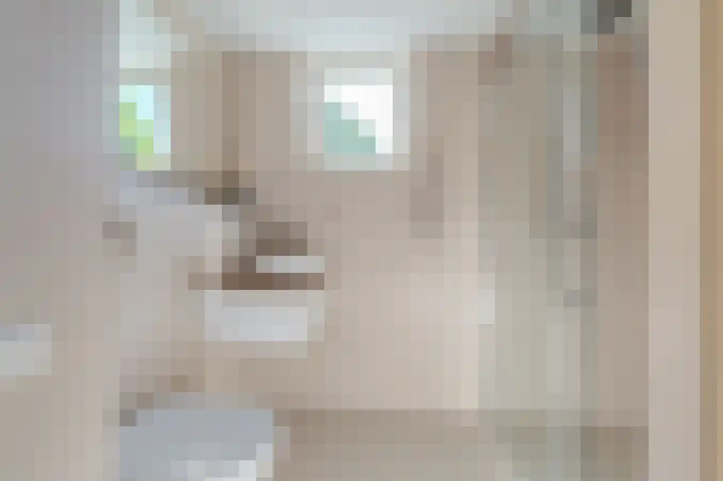 Boerhoorndreef 87 Assen thumbnail 5