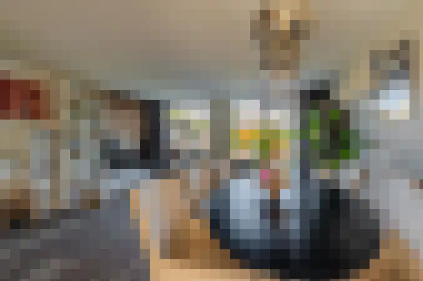 Boerhoorndreef 87 Assen thumbnail 8