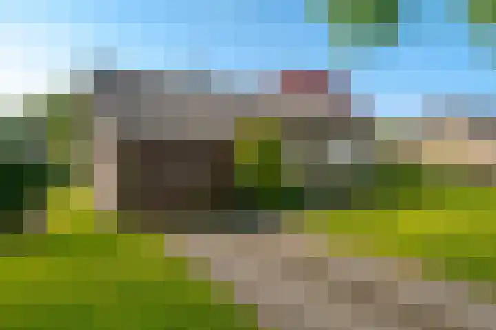 Boerhoornstraat 39 Noord-Sleen thumbnail 4