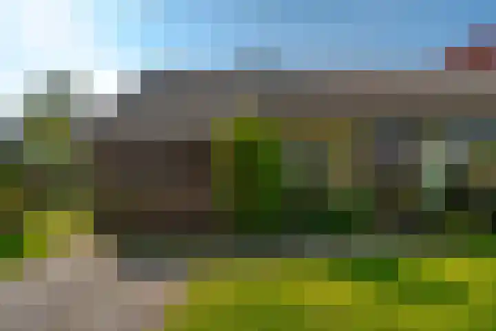 Boerhoornstraat 39 Noord-Sleen thumbnail 5