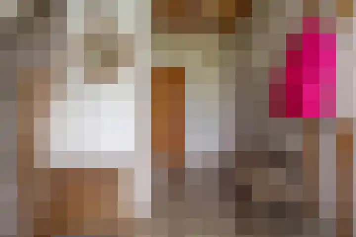 Boerhoornstraat 39 Noord-Sleen thumbnail 7