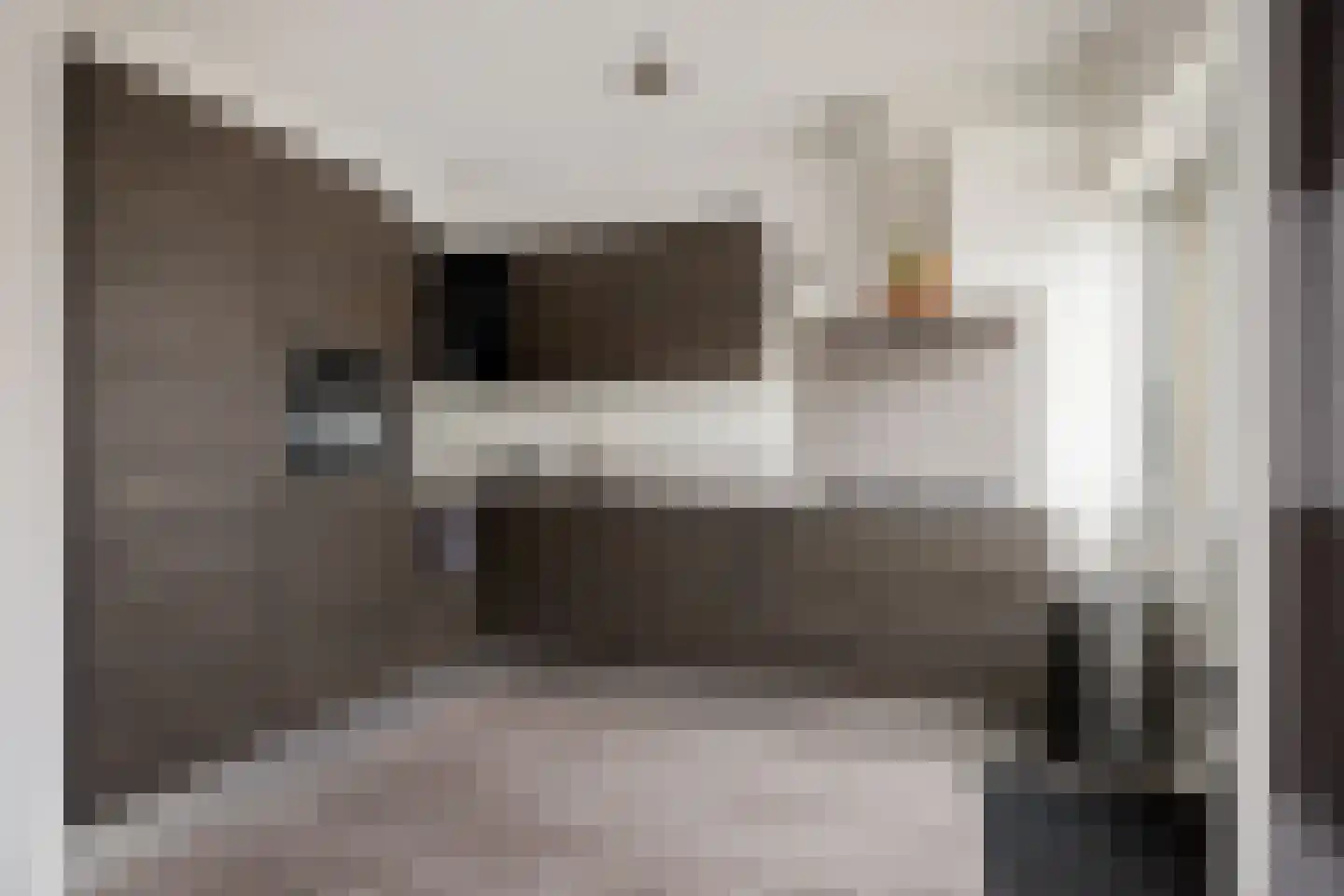 Boerhoornweg 33 Exloo thumbnail 14