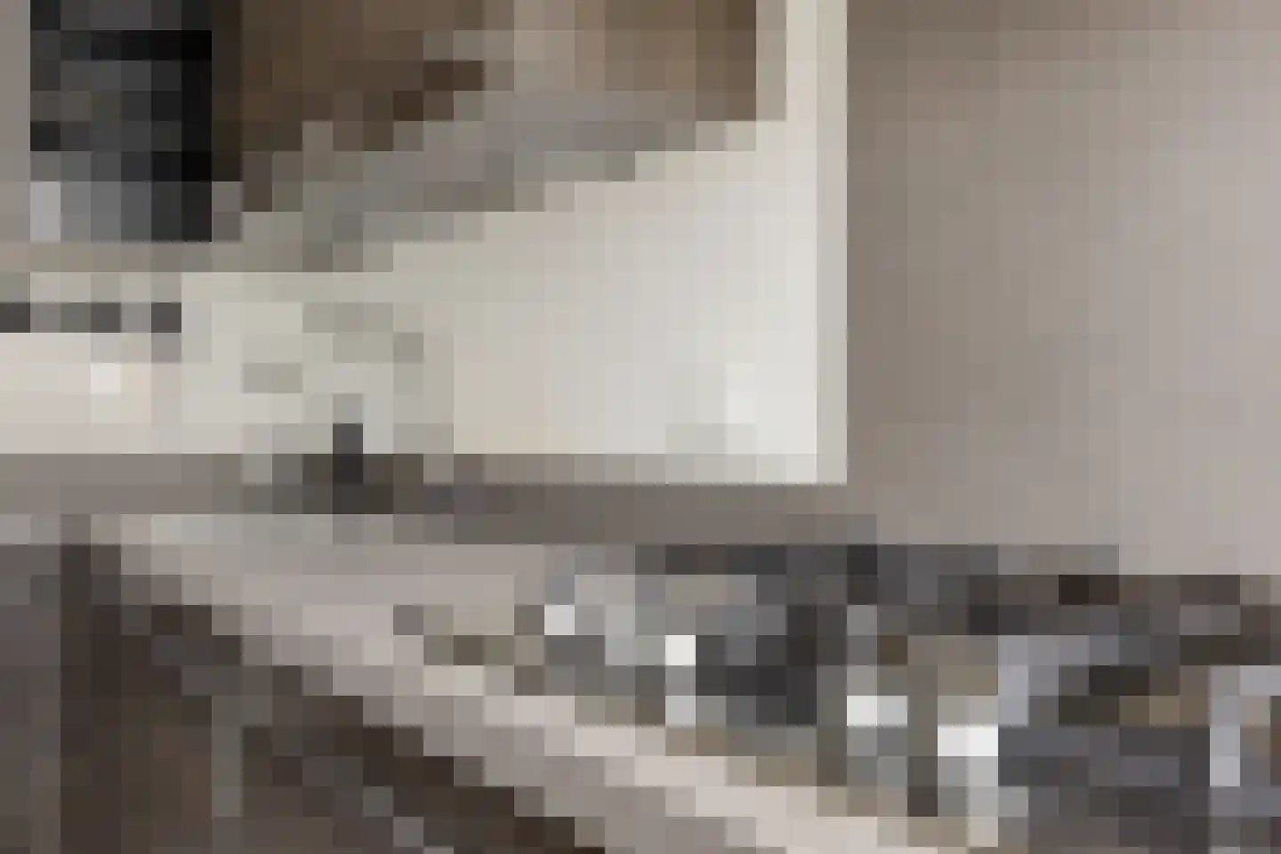 Boerhoornweg 33 Exloo thumbnail 15
