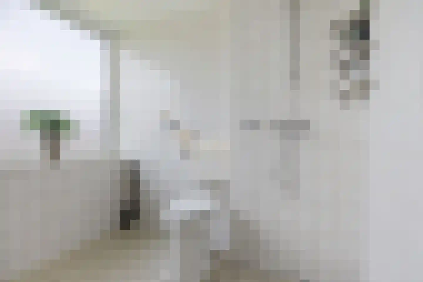 Boerhoornweg 33 Exloo thumbnail 21