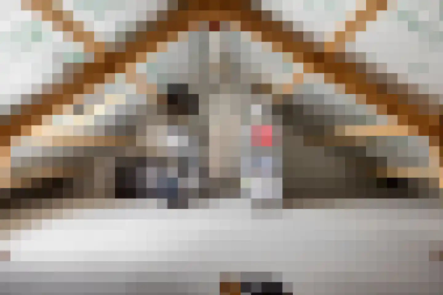Boerhoornweg 33 Exloo thumbnail 28