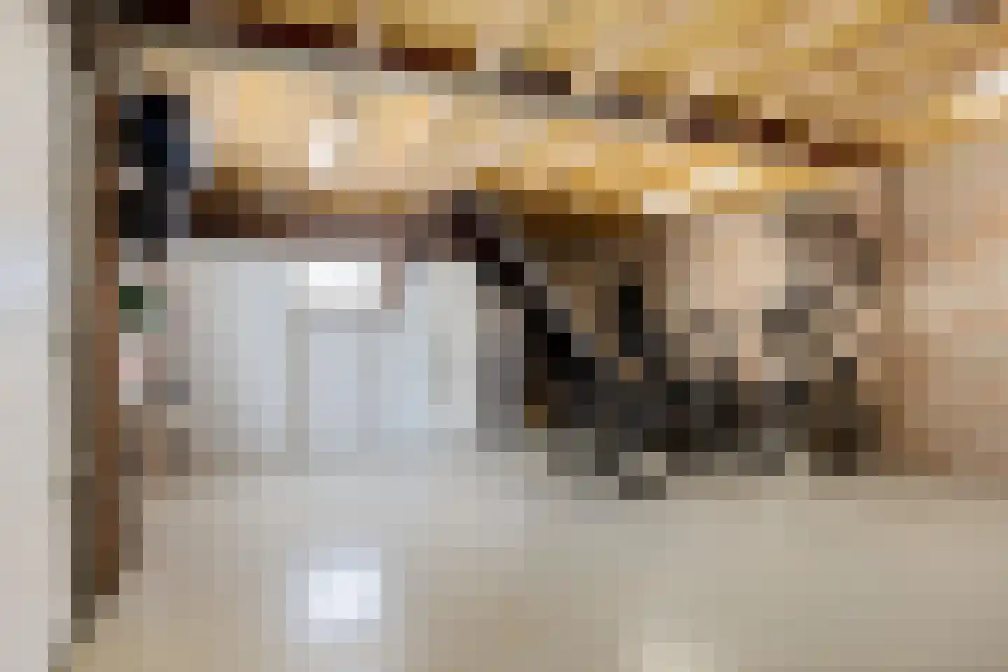 Boerhoornweg 33 Exloo thumbnail 34