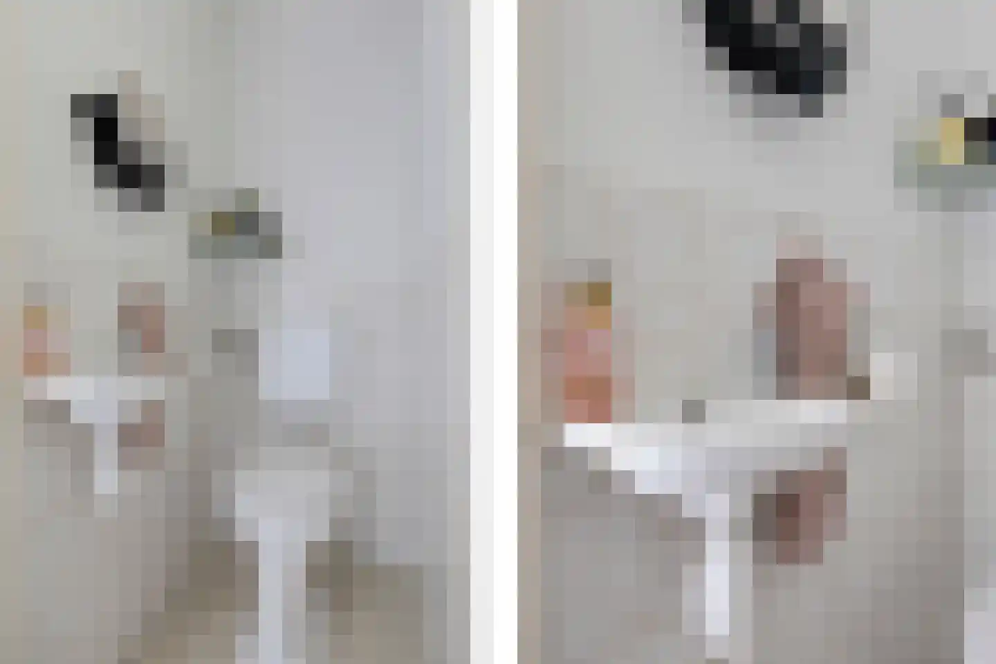 Boerhoornweg 33 Exloo thumbnail 5