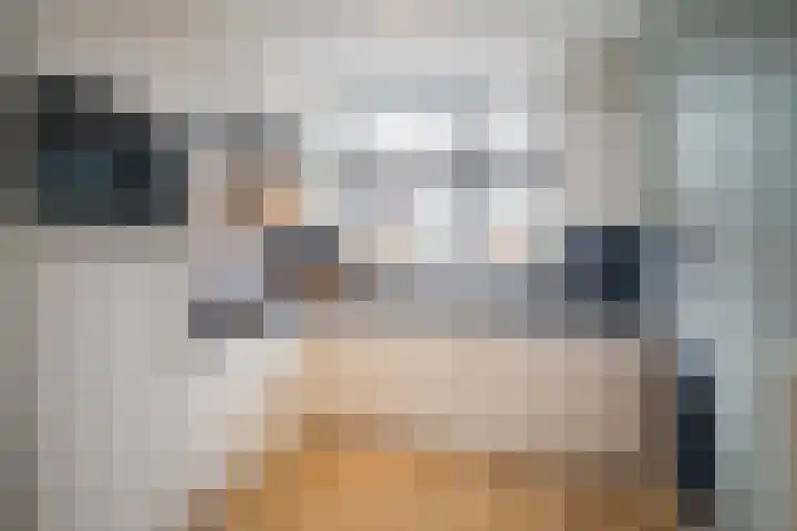 Boerkamp 3 Laren thumbnail 11