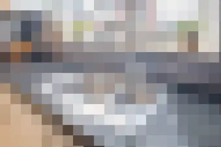 Boerkamp 3 Laren thumbnail 13