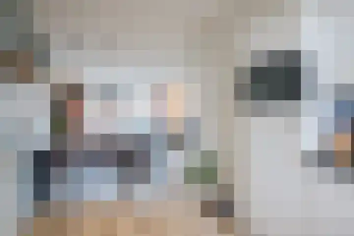 Boerkamp 3 Laren thumbnail 14
