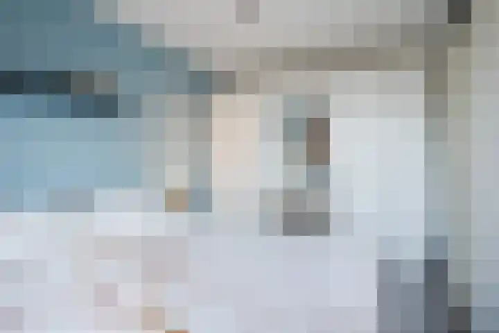 Boerkamp 3 Laren thumbnail 18